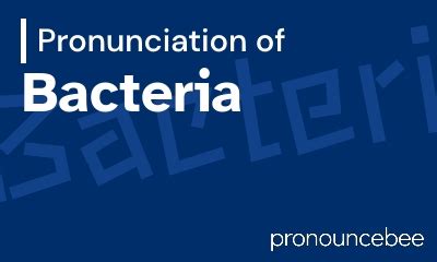 how to pronounce bacterial|Iba pa.
